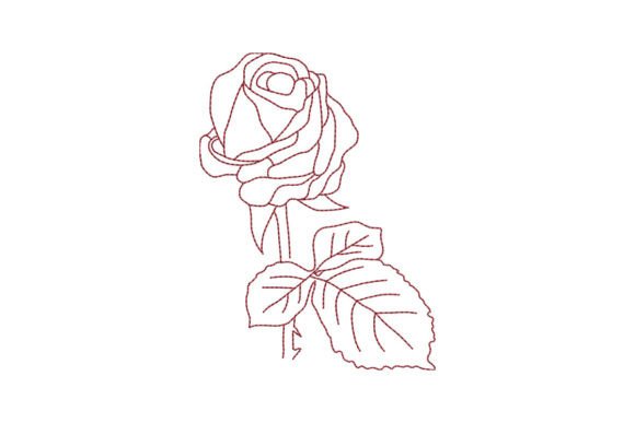 Rose Flower with a Leaf